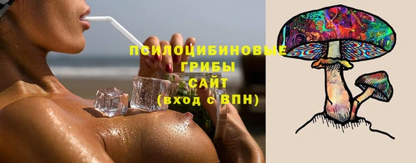 spice Арсеньев